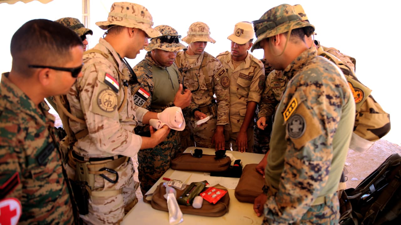 Яркая звезда или Bright Star 2025, Министерство обороны Египта