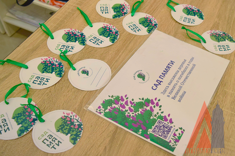 Волонтёры Победы в Египте высадили необычные деревья в акции 