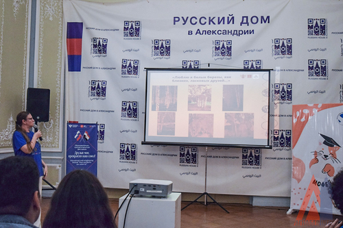 мастер-класс по рисованию березы